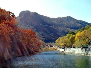 新澳门二四六天天彩，黑河物流